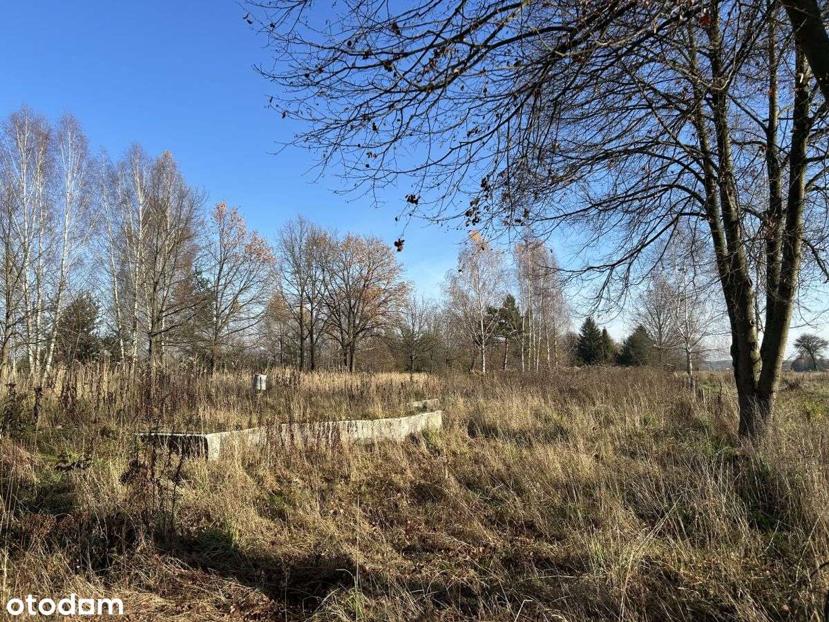 Działka z gotowym projektem domu Siennica 2401m2-9