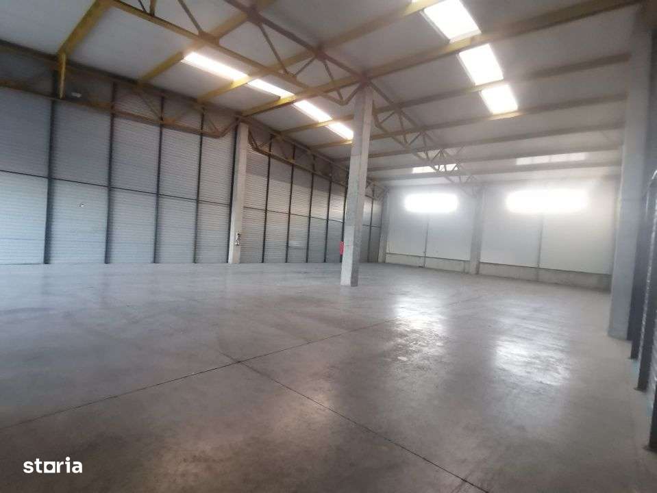 Hala Industriala de inchiriat in Capusu Mare - Imagine principală: 3/6