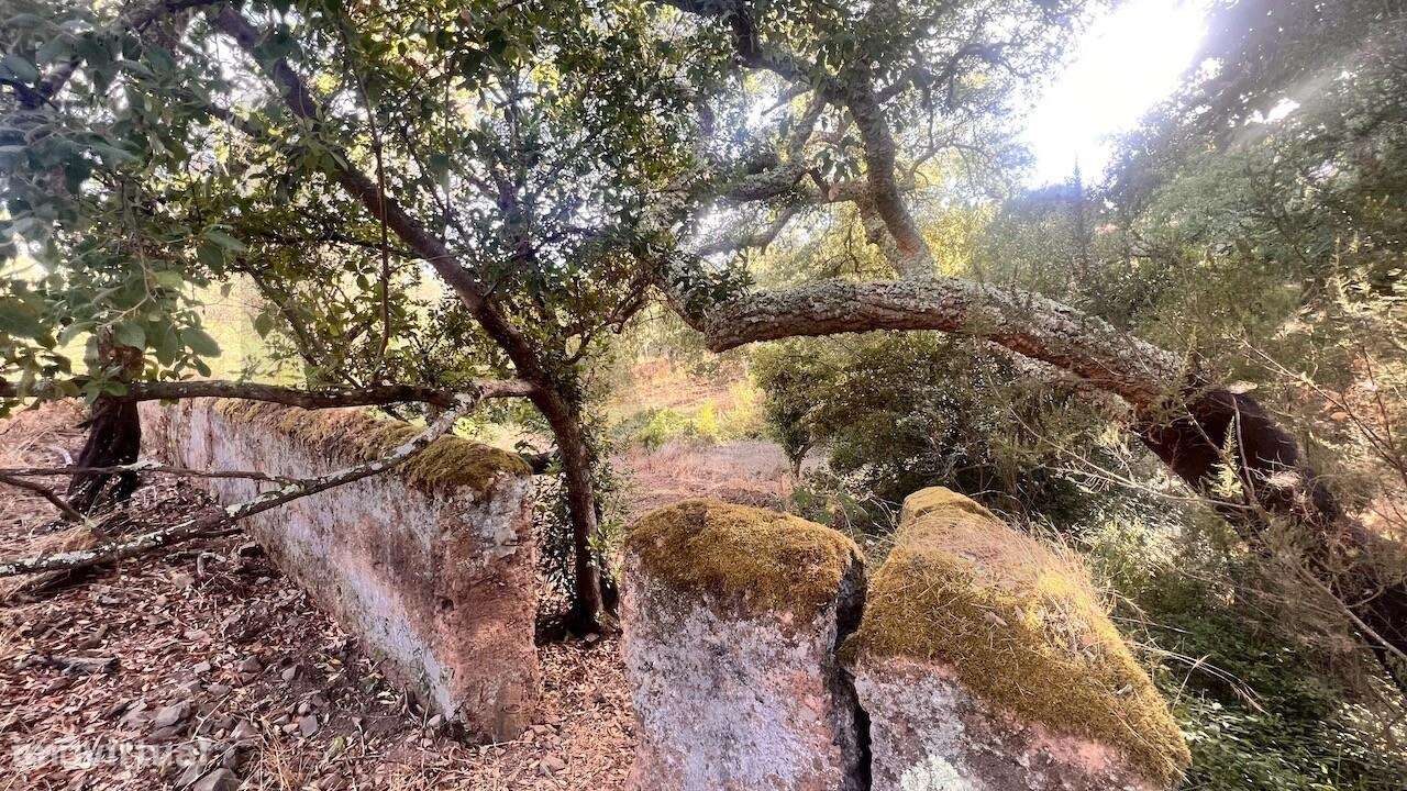 Propriedade única na Serra de Grândola - Terreno de 6,9 ha com vista p-16