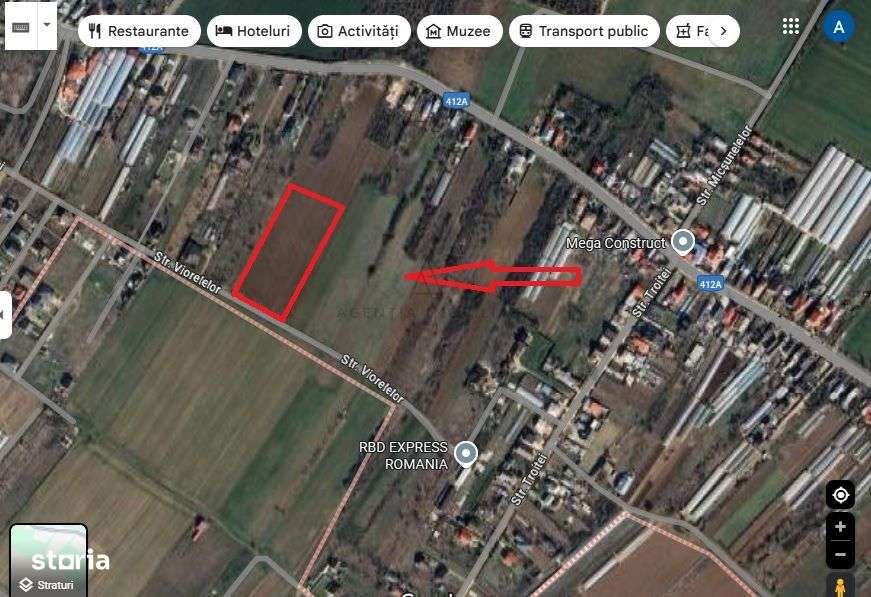 Teren intravilan 2.500 mp – Adunații Copăceni | Container inclus + puț - Imagine principală: 1/6
