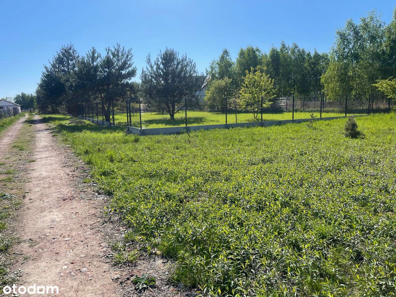 Sprzedam działkę budowlaną 1000m-Wyględy k.Leszna-6