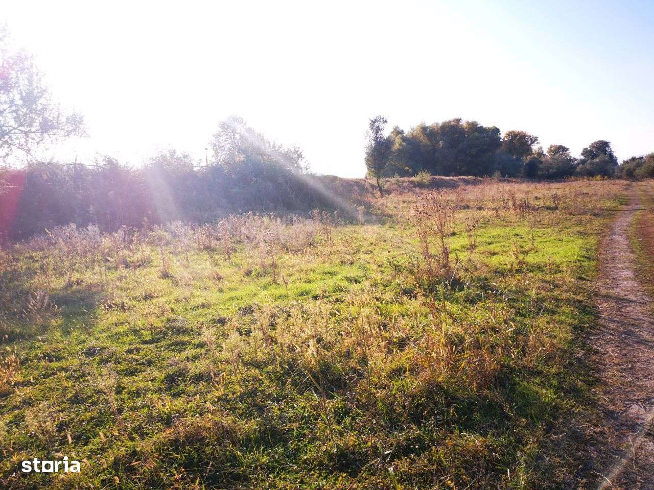 Vand 20.000 mp Delta-Tudor Vladimirescu-4