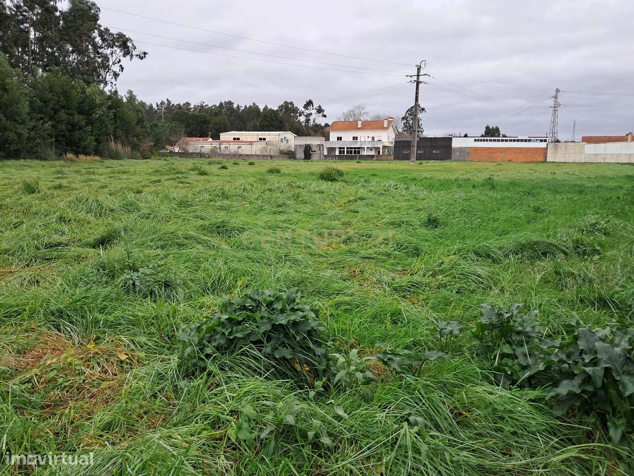 TERRENO EM CORTEGAÇA - Grande imagem: 3/7