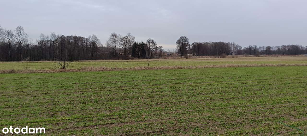 Działka dla dewelopera w Łodzi - 34 domy + bud. usługowy |  POZWOLENIA - Pełny obrazek: 4/9