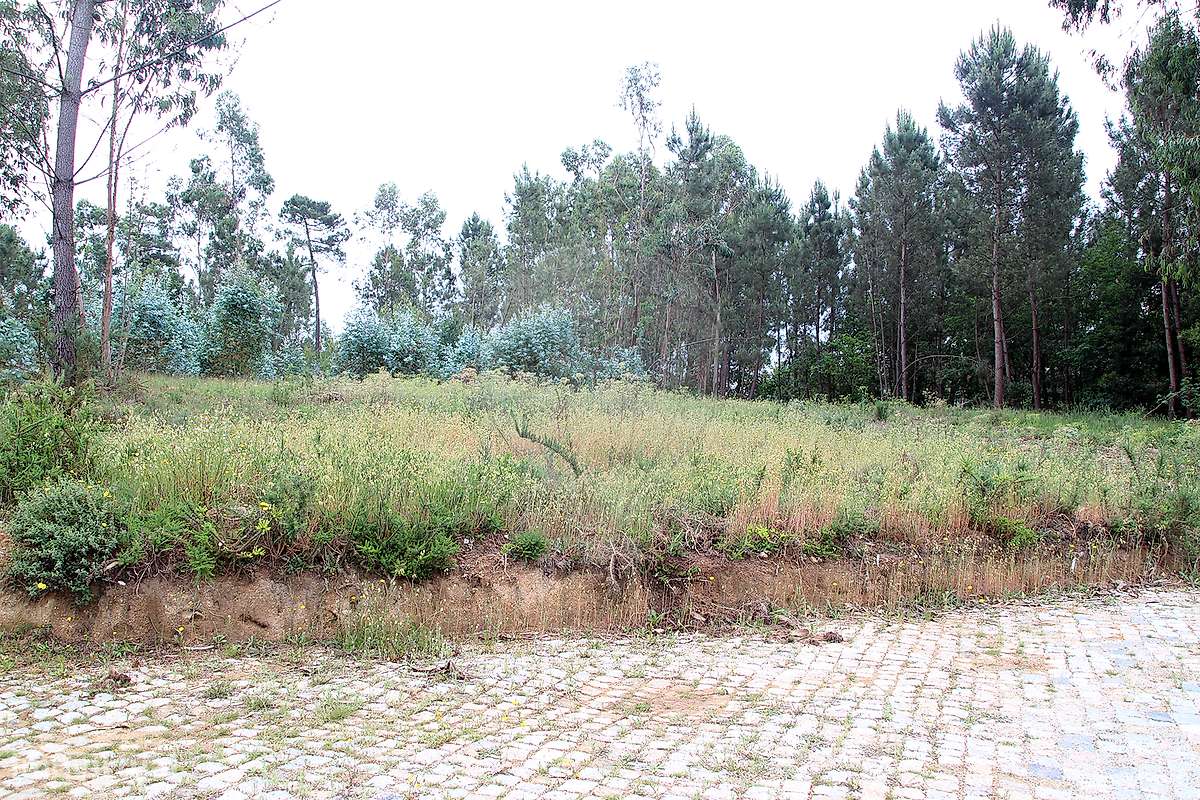 Terreno  para venda-19