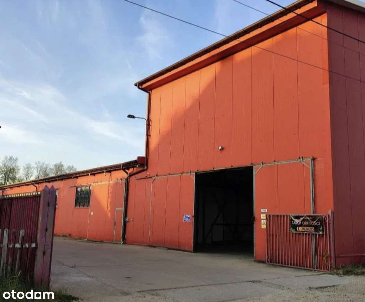 Hala produkcyjno-magazynowa 2 900 m²  380 kW  Stare Serby (Głogów) - Pełny obrazek: 4/4