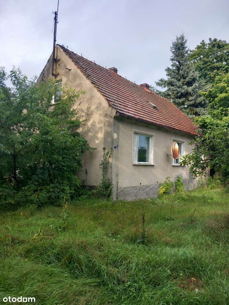 Dom otulony lasem w spokojnej okolicy - Pełny obrazek: 5/18