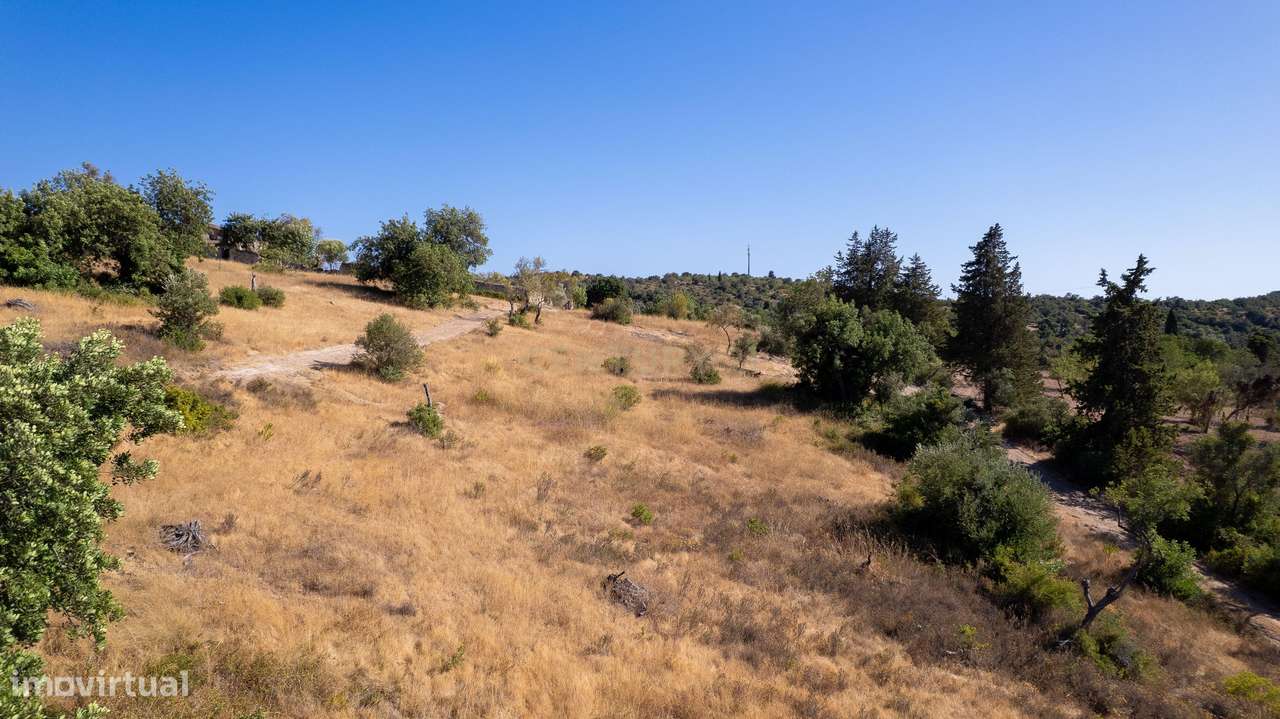 Terreno urbanizável de 6.440 m² em Paderne – Elevado potencial de dese-15