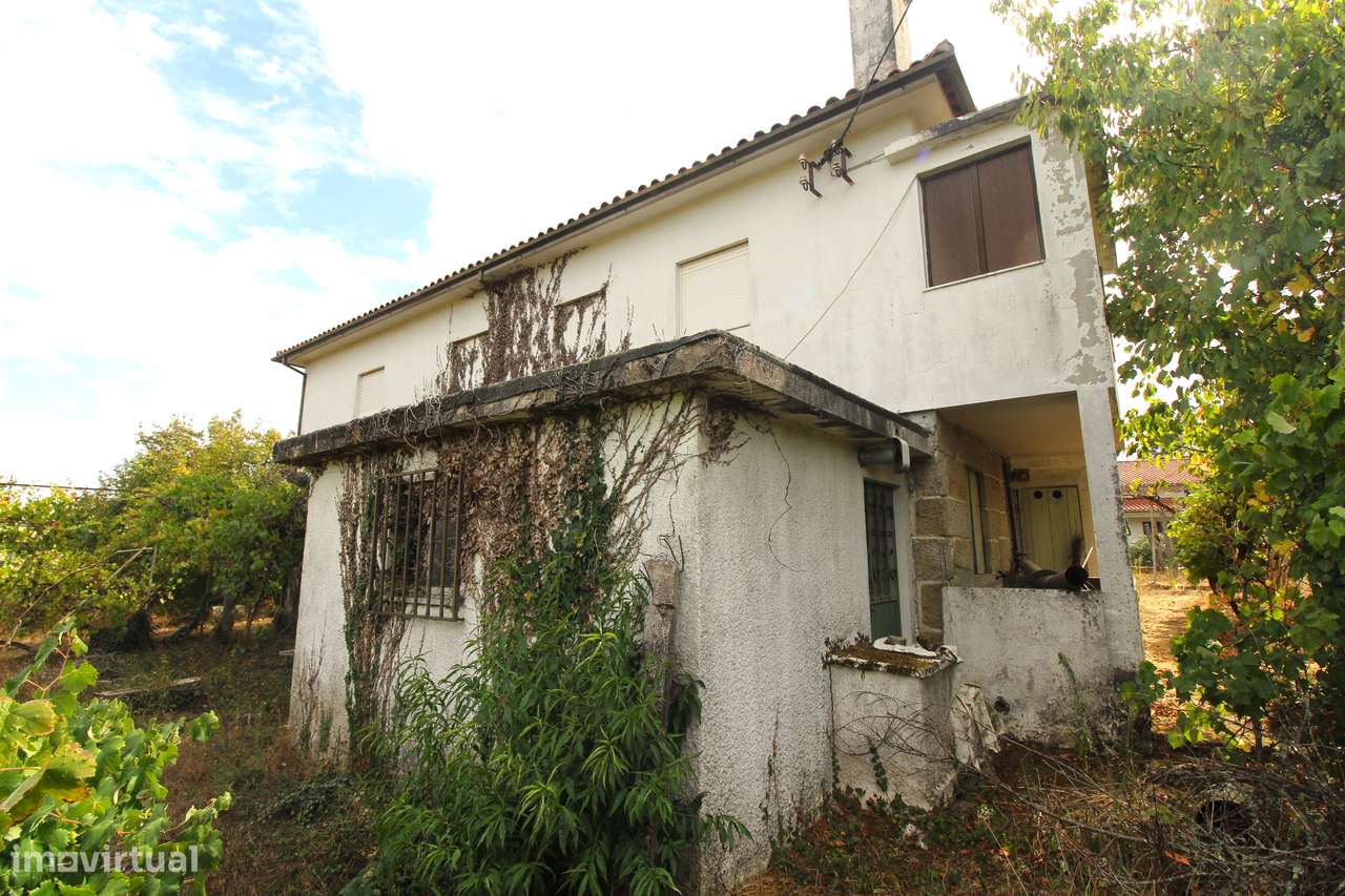 Quinta com 8.000 m² a apenas 10 km do centro de Viseu-5