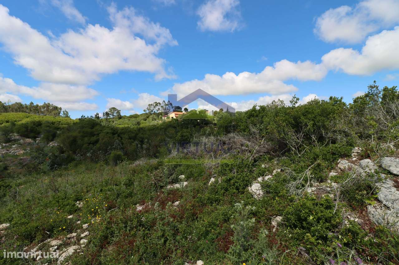 Terreno Rústico c/ 16.520 m2 Reguengo Pequeno - Lourinhã-23