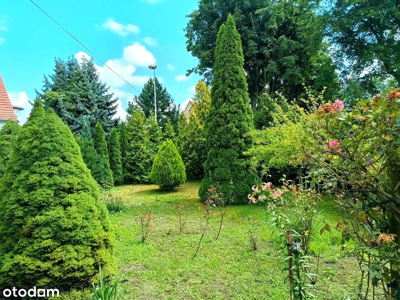 Dom z dużym ogrodem, 2 niezależne mieszkania, garaż i budynek gosp.-18