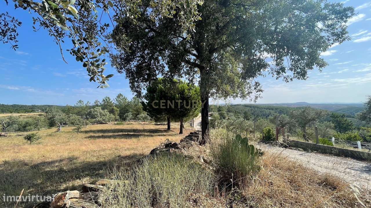 Terreno rústico, Cebolais de Cima - Grande imagem: 5/7