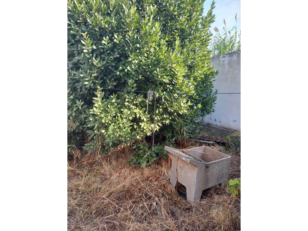 Moradia - Grândola-10