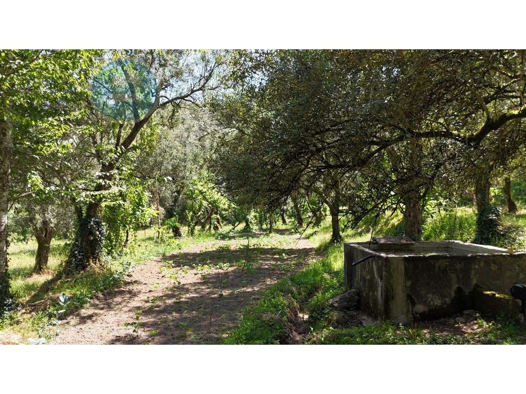 Quinta à venda, localizada no Lugar de Água Redonda, Cabeceiras de ... - Grande imagem: 5/42