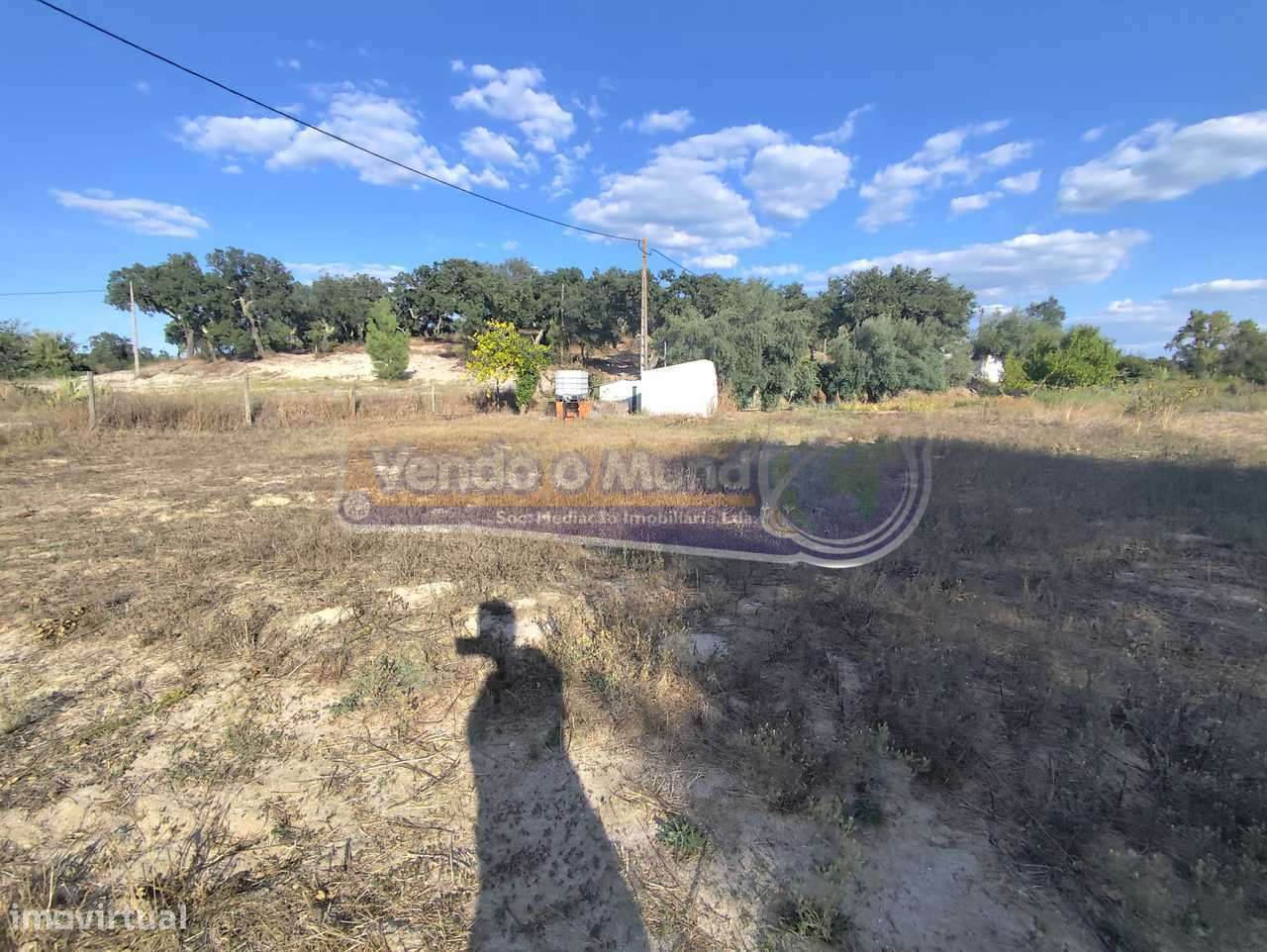Terreno em São José da Lamarosa - Coruche (CRCH175) - Grande imagem: 3/6
