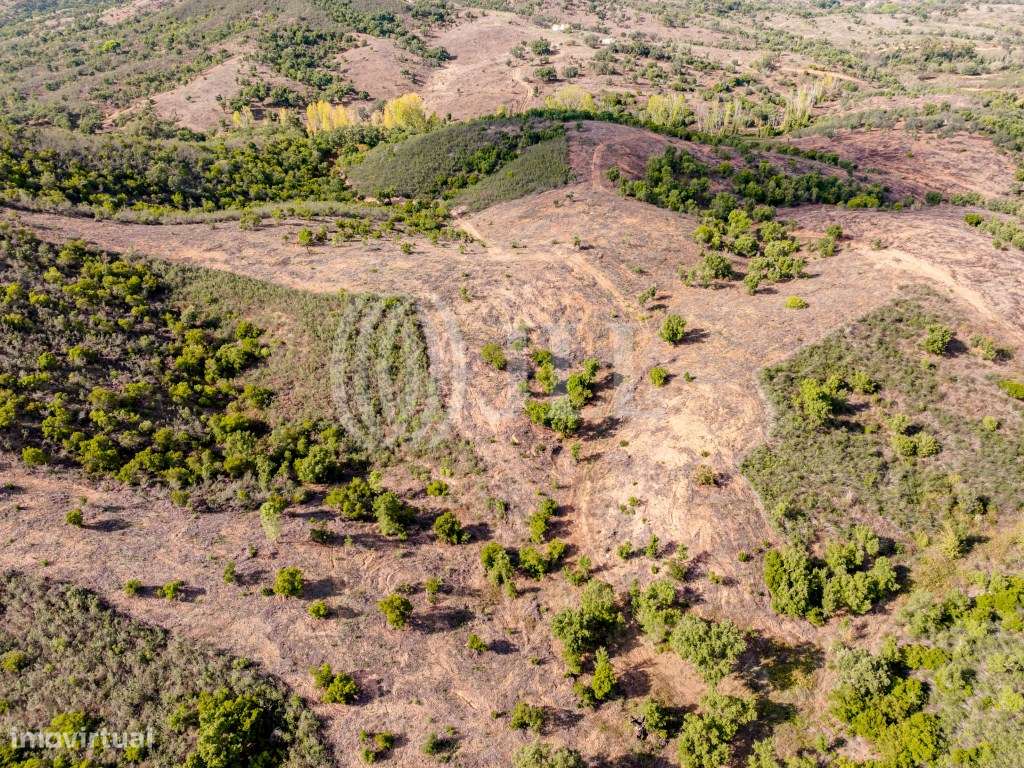 Terreno em Santa Margarida da Serra - Grande imagem: 5/8