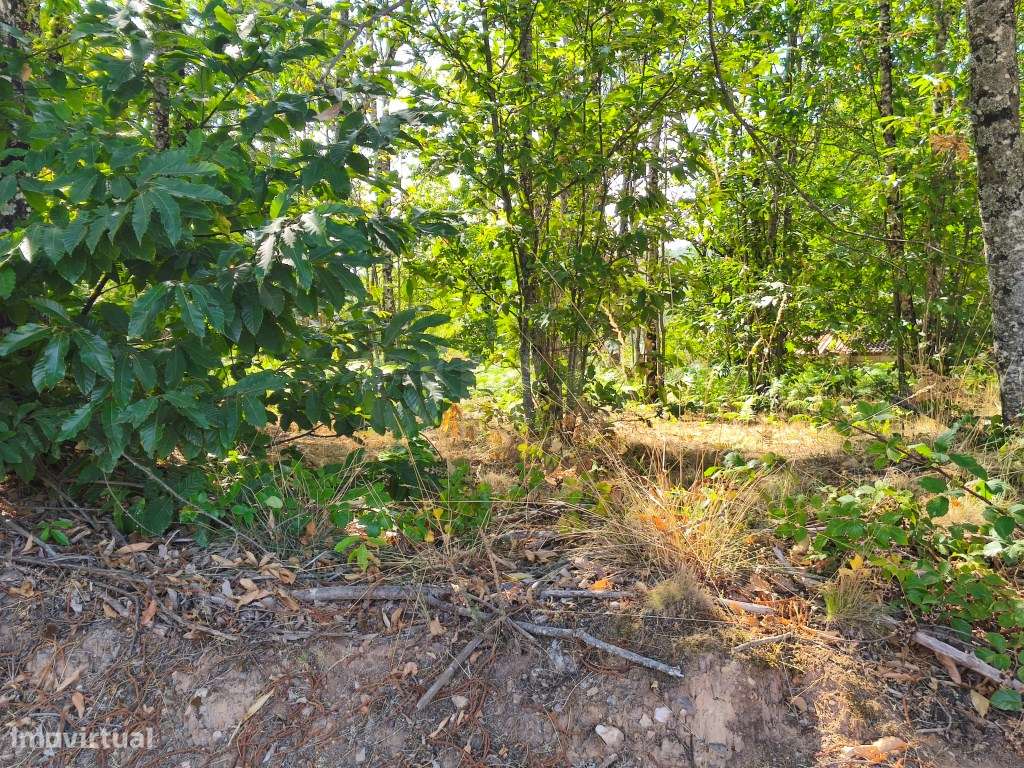 Prédio rústico em zona de construção - Grande imagem: 5/8