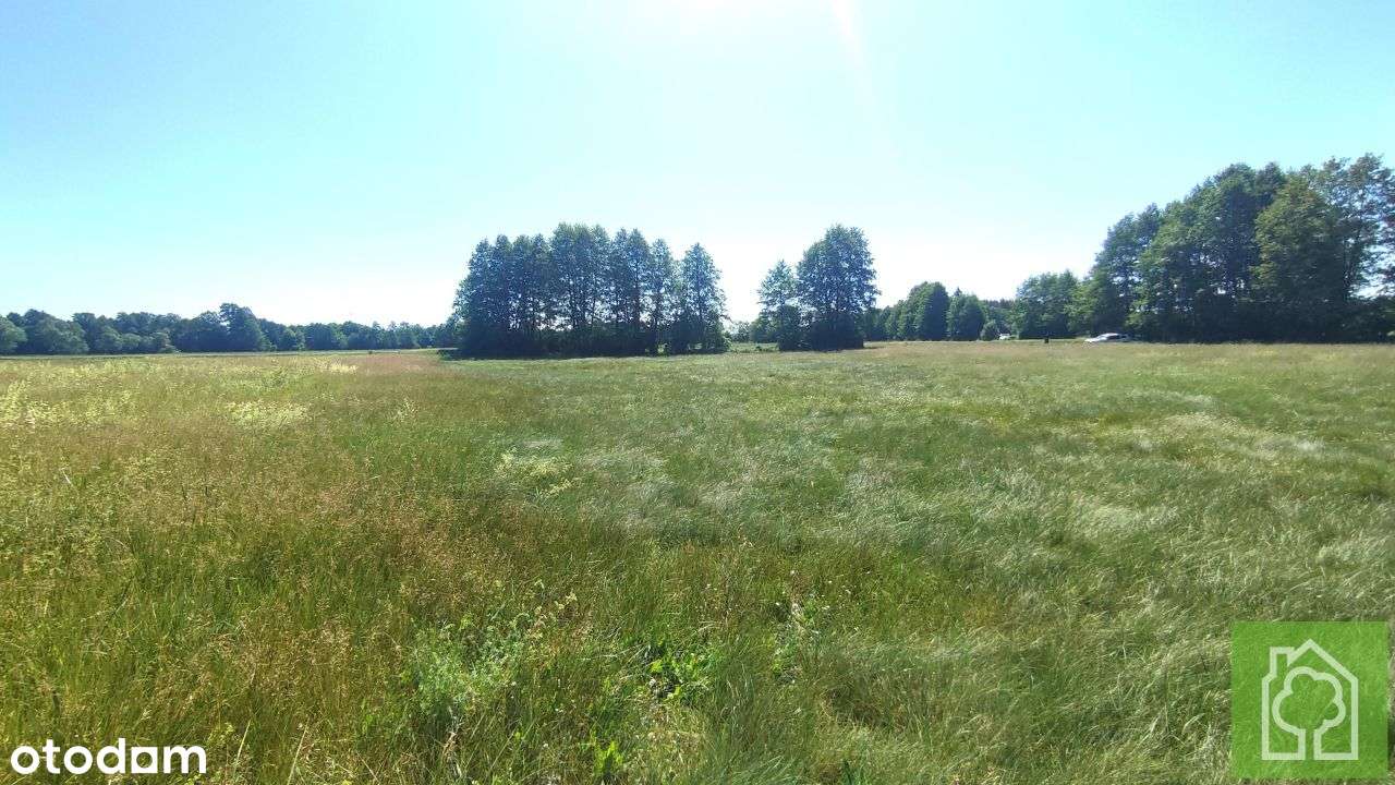 Działka, 3 001 m², Gutowo-6