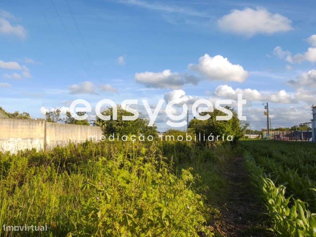 Terreno 1810m2 para construção de moradia - Paião - Grande imagem: 5/9