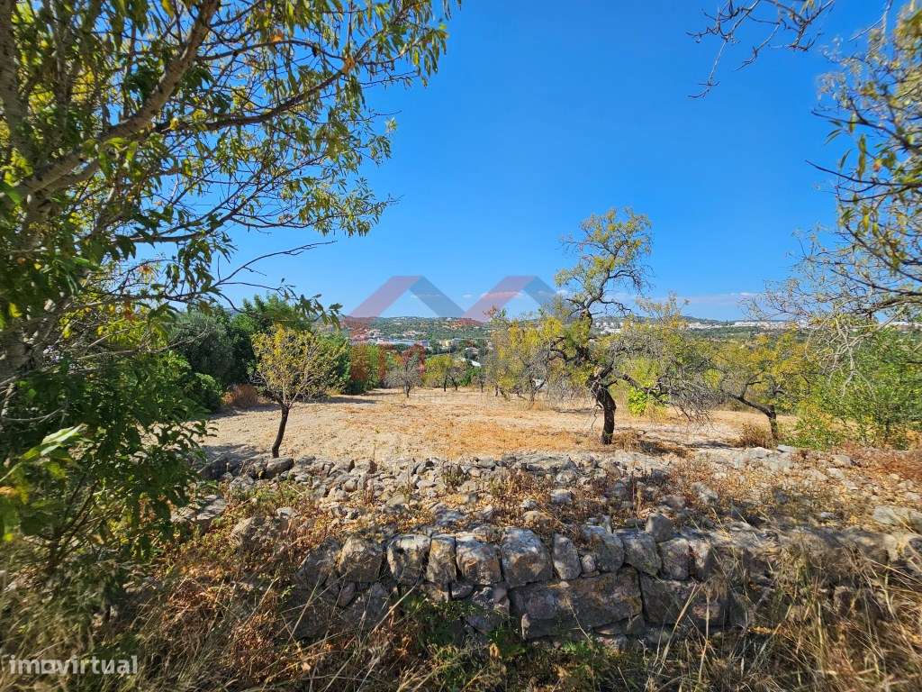 Moradia tradicional V5 para recuperar com terreno de 31.000 m2 - Loulé-13