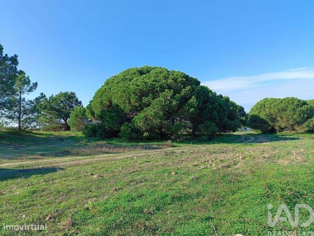Terreno em Sesimbra (Castelo) de 15600,00 m2 - Grande imagem: 3/22