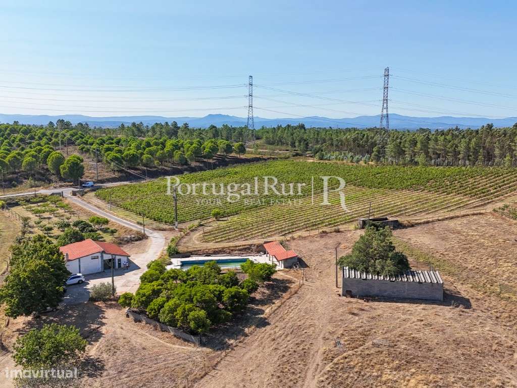 Herdade Vinícola com 33ha e adega equipada perto de Castelo Branco - Grande imagem: 3/60