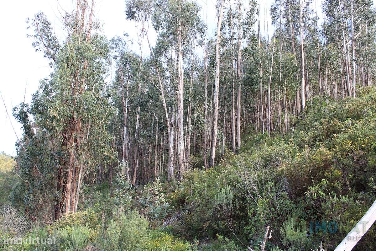 Terreno - Grande imagem: 4/4