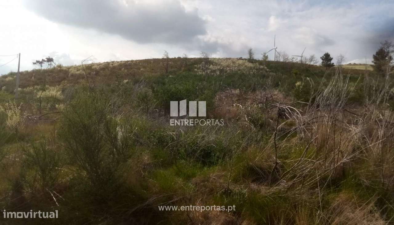 Venda Terreno com 6400m2, Gestaçô, Baião - Grande imagem: 4/17