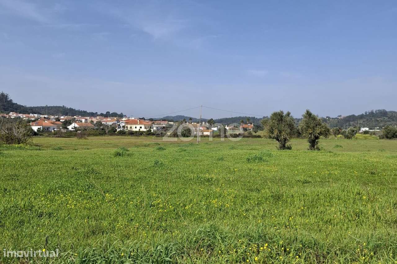 Terreno Rústico plano em Amorosa com 8.840m2 - Grande imagem: 4/6
