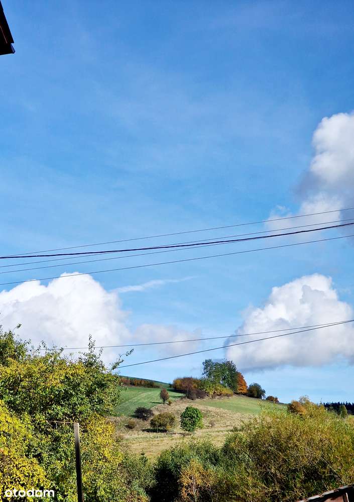 Mieszkanie na parterze Grzędy.-13