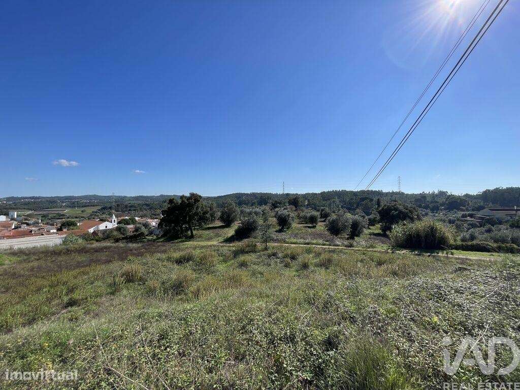Terreno para construção em Asseiceira de 4640,00 m2 - Grande imagem: 2/13