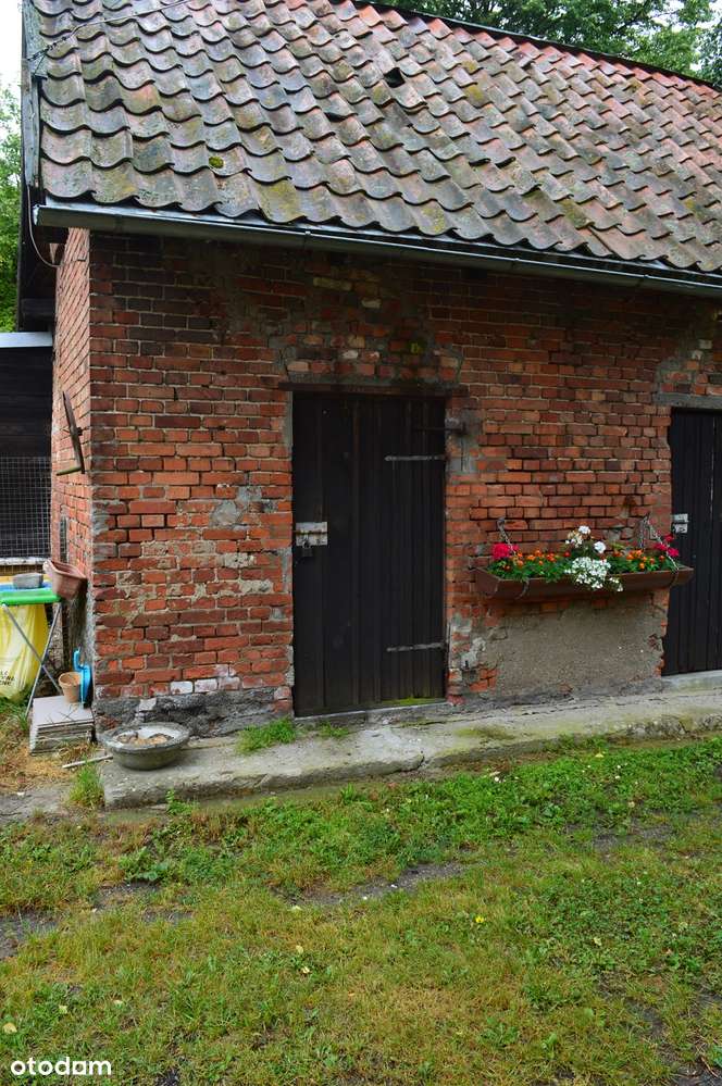 Dom – 5 km od Dobrego Miasta-6