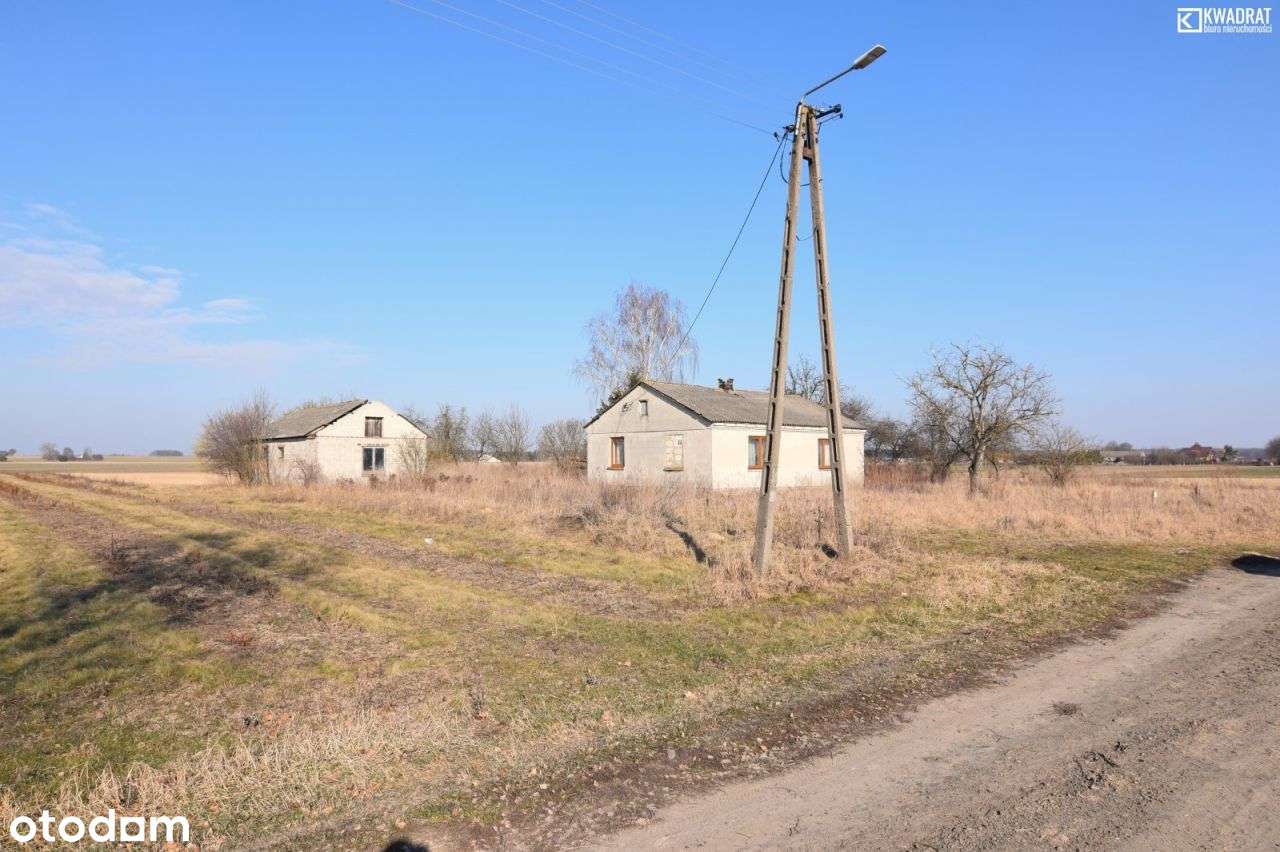 Janowice/ prawie 2 hektary/ siedlisko - Pełny obrazek: 4/9