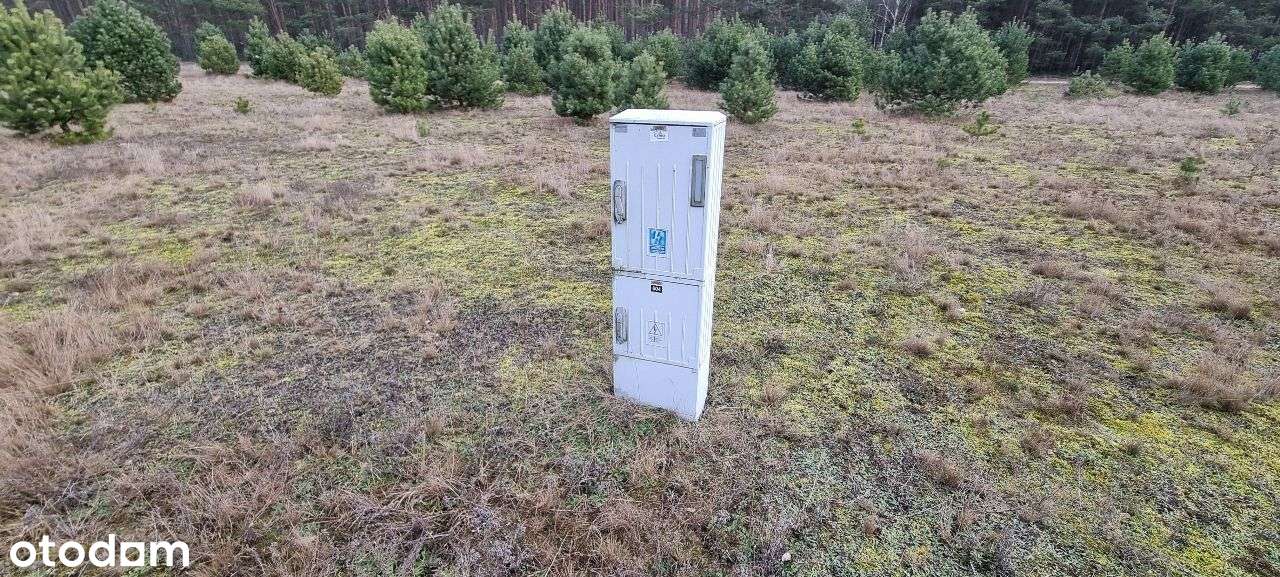 17 działek Rynarzewo ul. Wybudowanie las, spokój, cisza-6