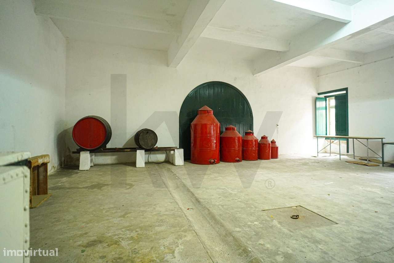 Palacete único dos anos 30 do séc. XX ergue-se no coração de Alcanena-18