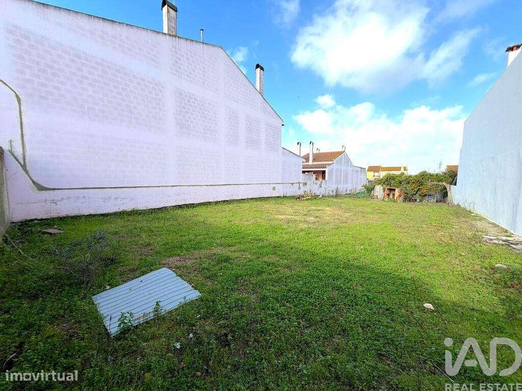 Terreno para construção em Benfica do Ribatejo - Grande imagem: 4/13