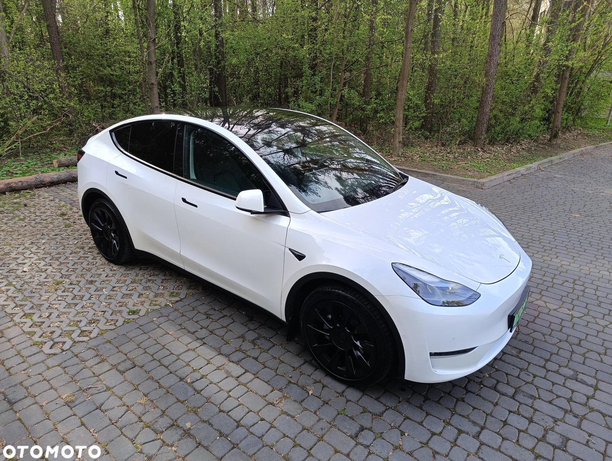 Tesla Y Model Long Range Dual Motor AWD - 15