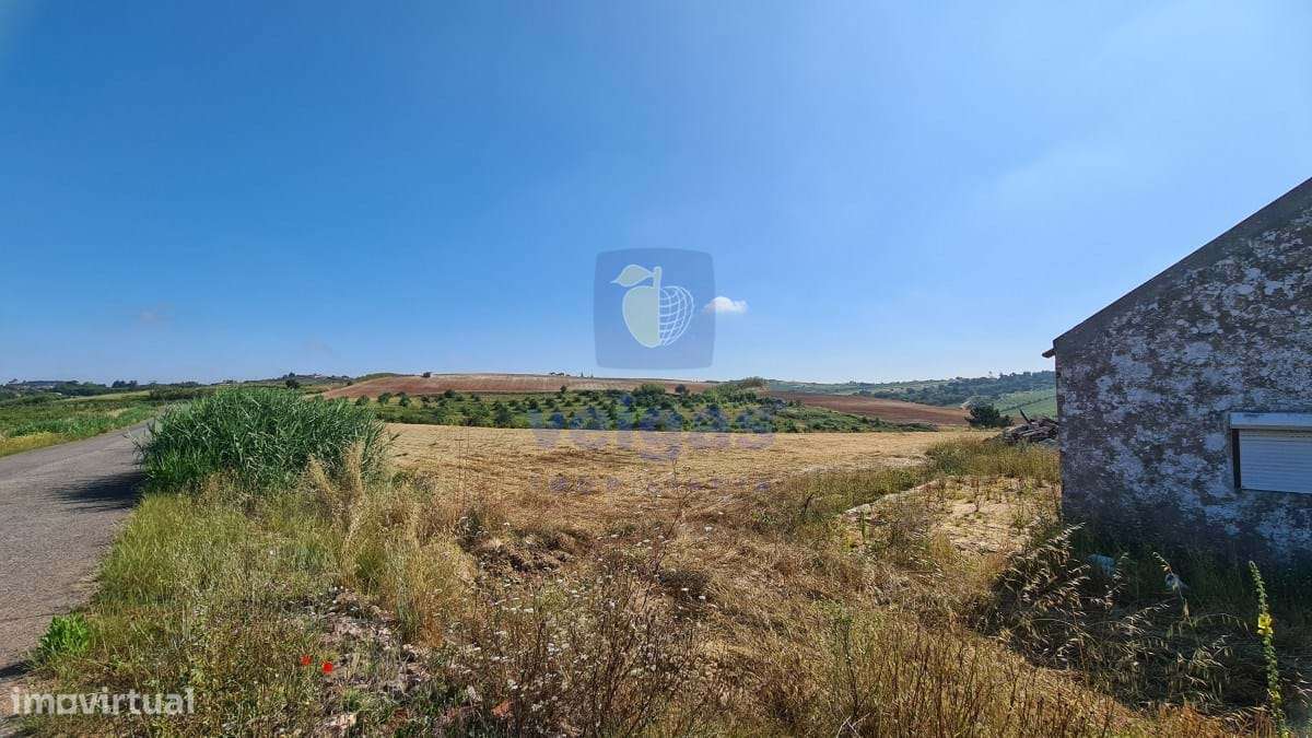 Terreno  com pequena casa no Carvalhal/Bombarral - Grande imagem: 4/13