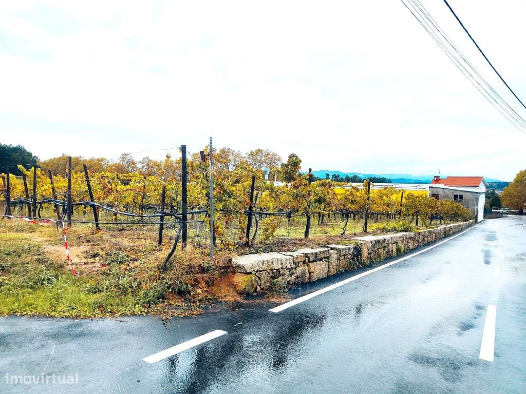 Terreno Mazedo e Cortes , Monção - Grande imagem: 4/9
