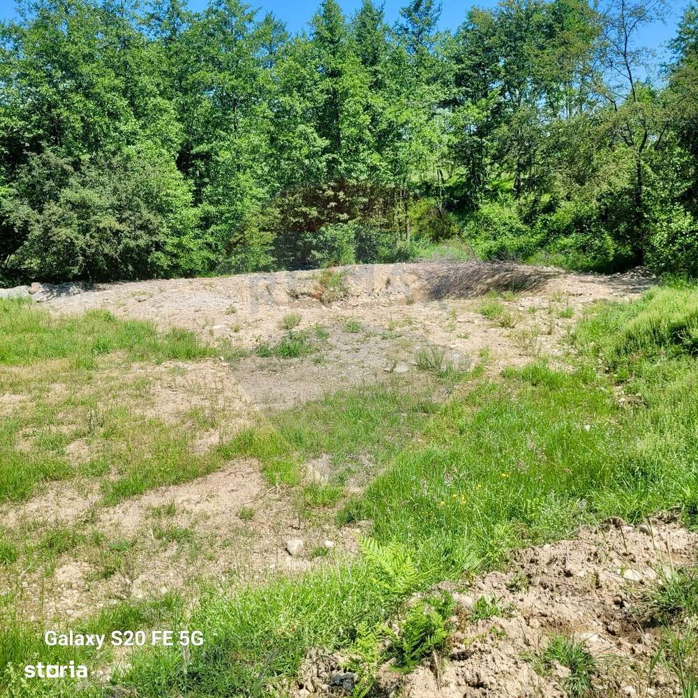 Oază de liniște – teren de vânzare 6.725 mp-3