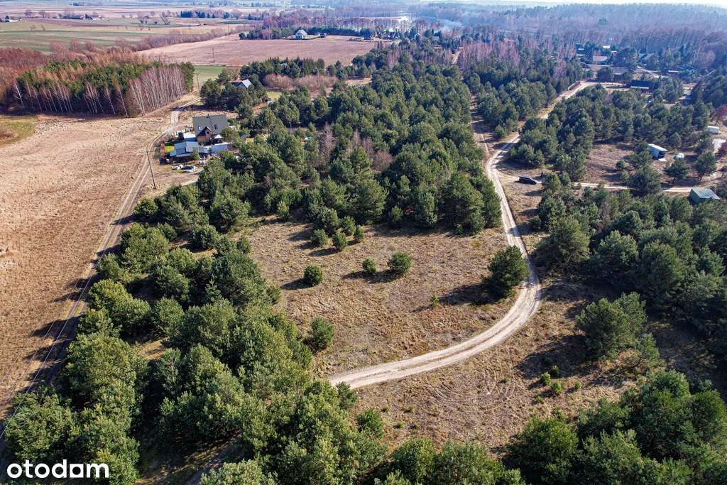 Działka, 1 623 m², Krupocin-2