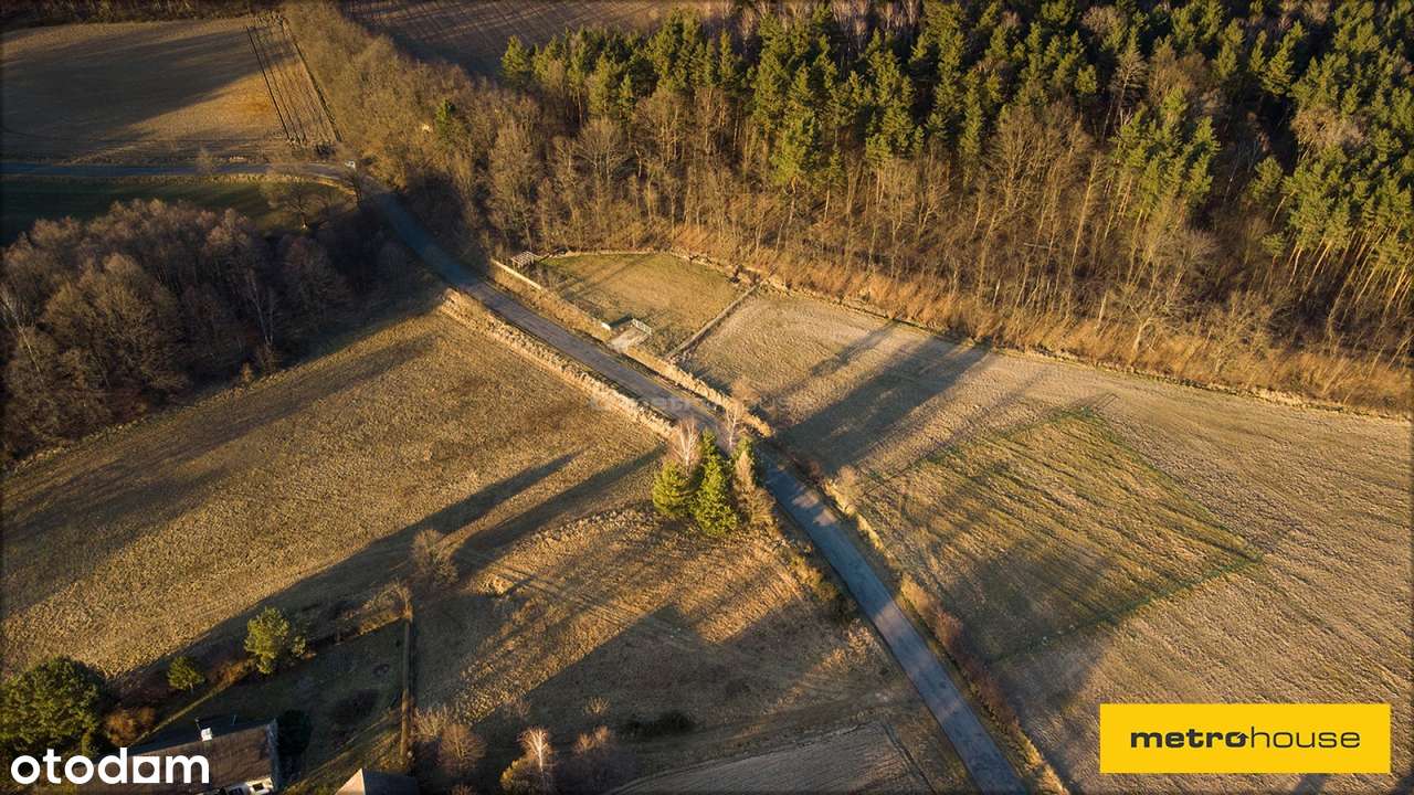 2 DZIAŁKI W JEDNEJ CENIE 20 km OD STRZELINA - Pełny obrazek: 4/18