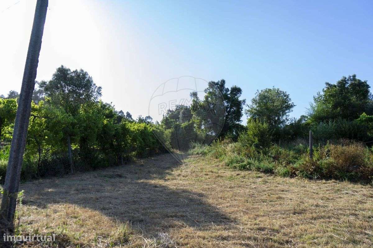 Terreno  para venda - Grande imagem: 5/31