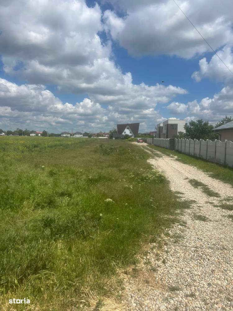 Teren 2409 MP in Cornetu/ Magurele , langa padure - Imagine principală: 2/8