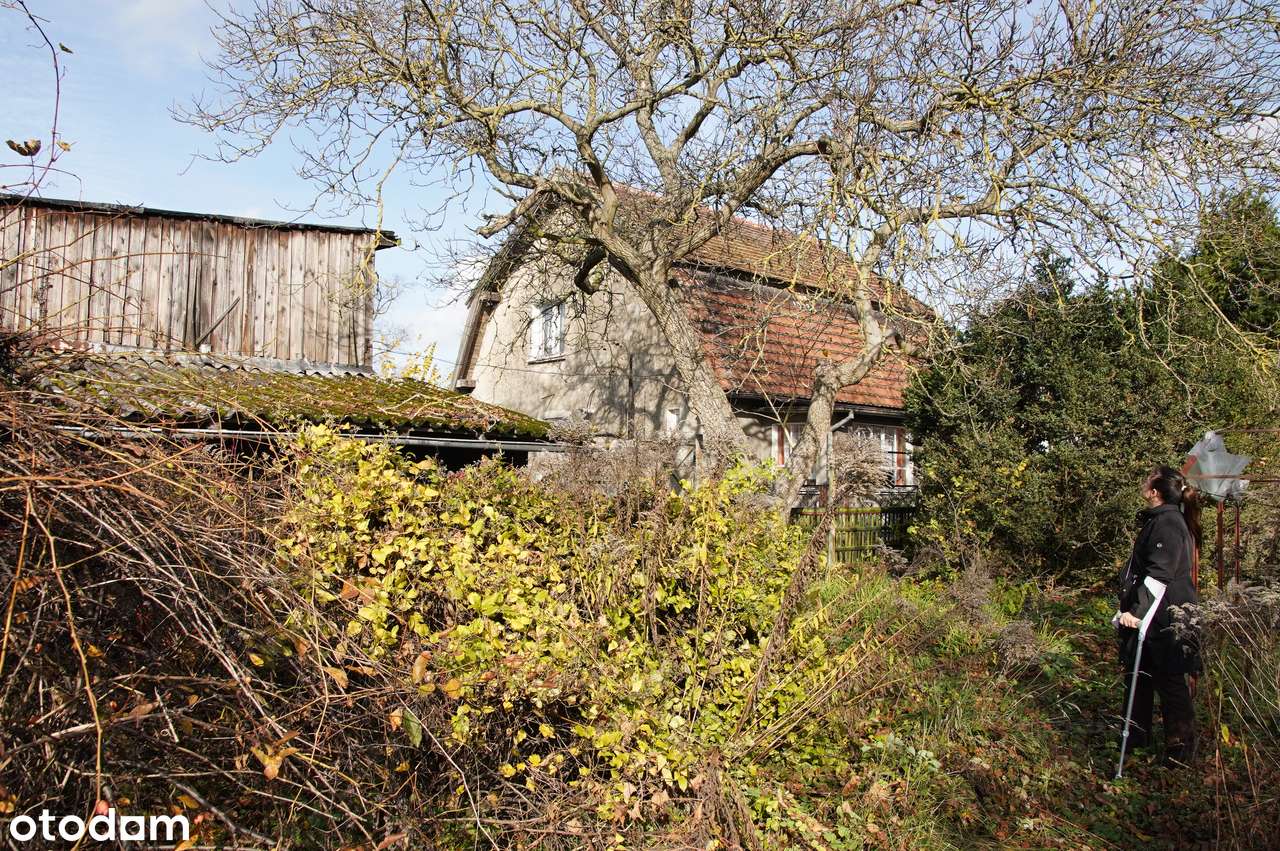 Ogrodowa 19, dom wolnostojący na dużej działce, pełne media!od zaraz!-7