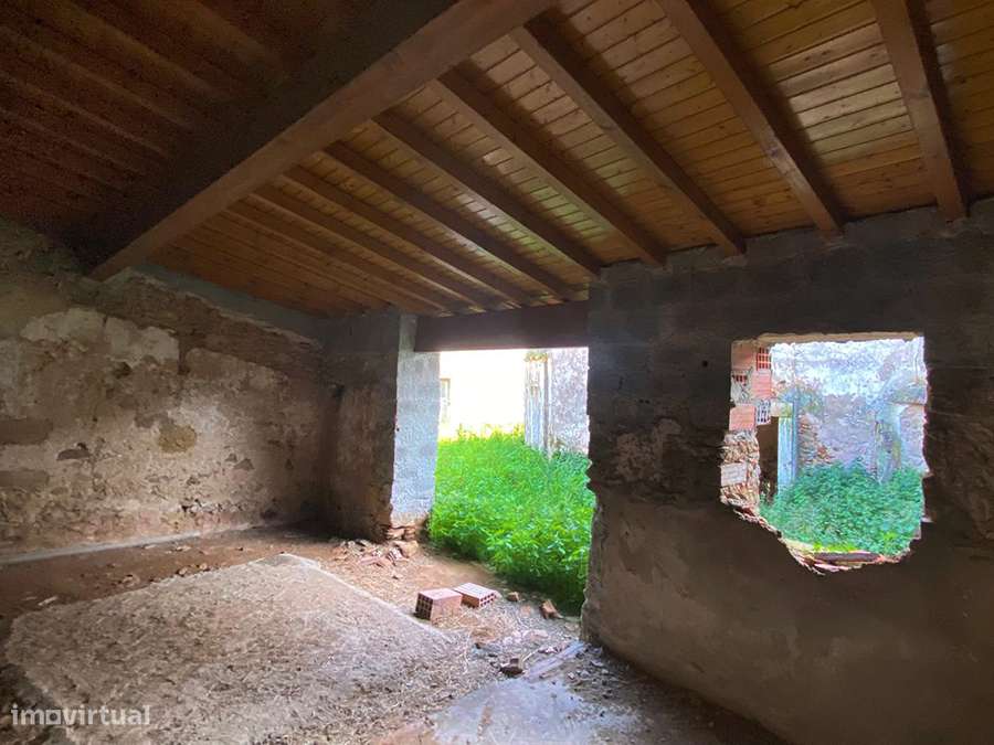 Adega e anexos para recuperar, com logradouro, a 10 min de C da Rainha-8