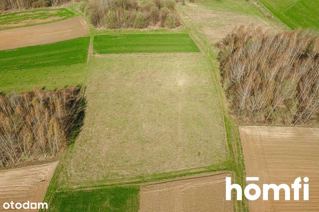 Duża działka w zielonej widokowej okolicy - Pełny obrazek: 5/8