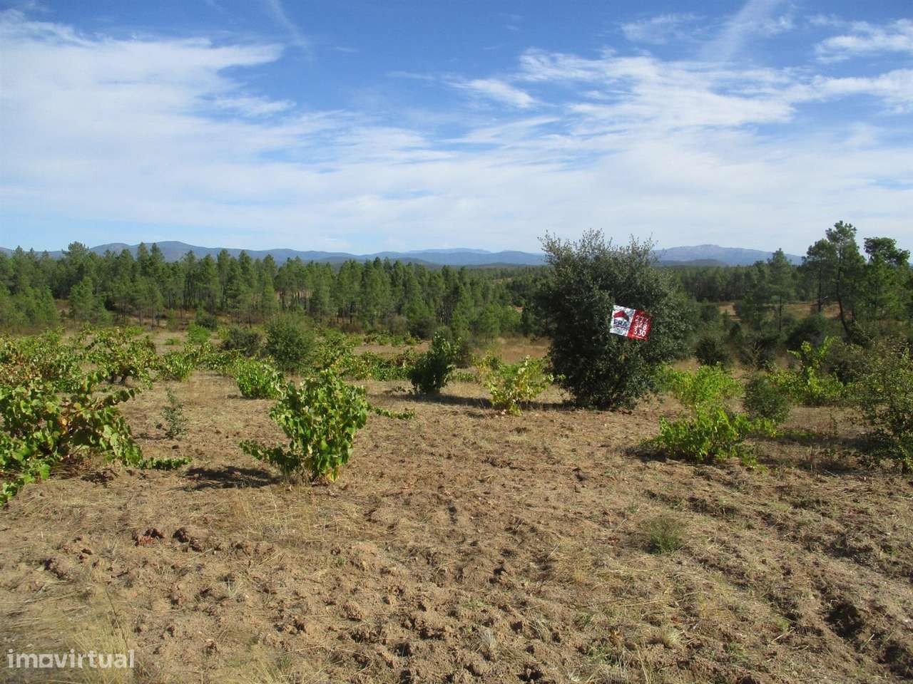 Terreno - Grande imagem: 2/9