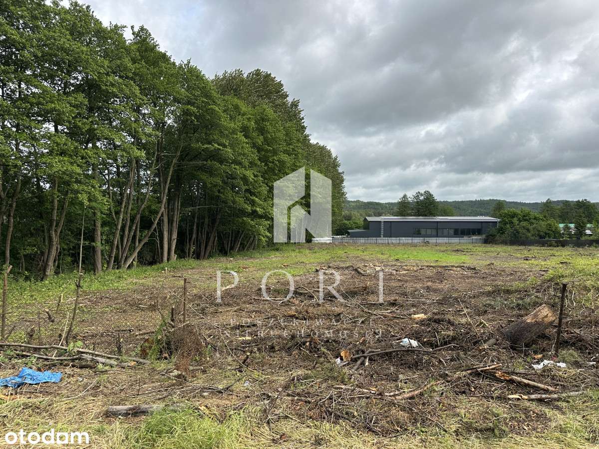Przestronna działka usługowa w Redzie! - Pełny obrazek: 3/6