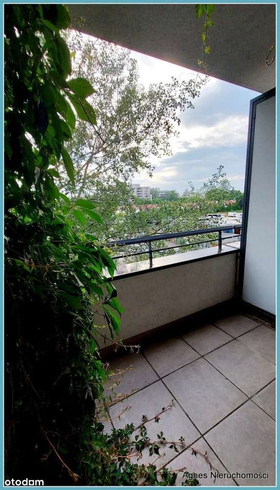 Mokotów Ładne Ciche Z Garażem 2pok. - Pełny obrazek: 5/20